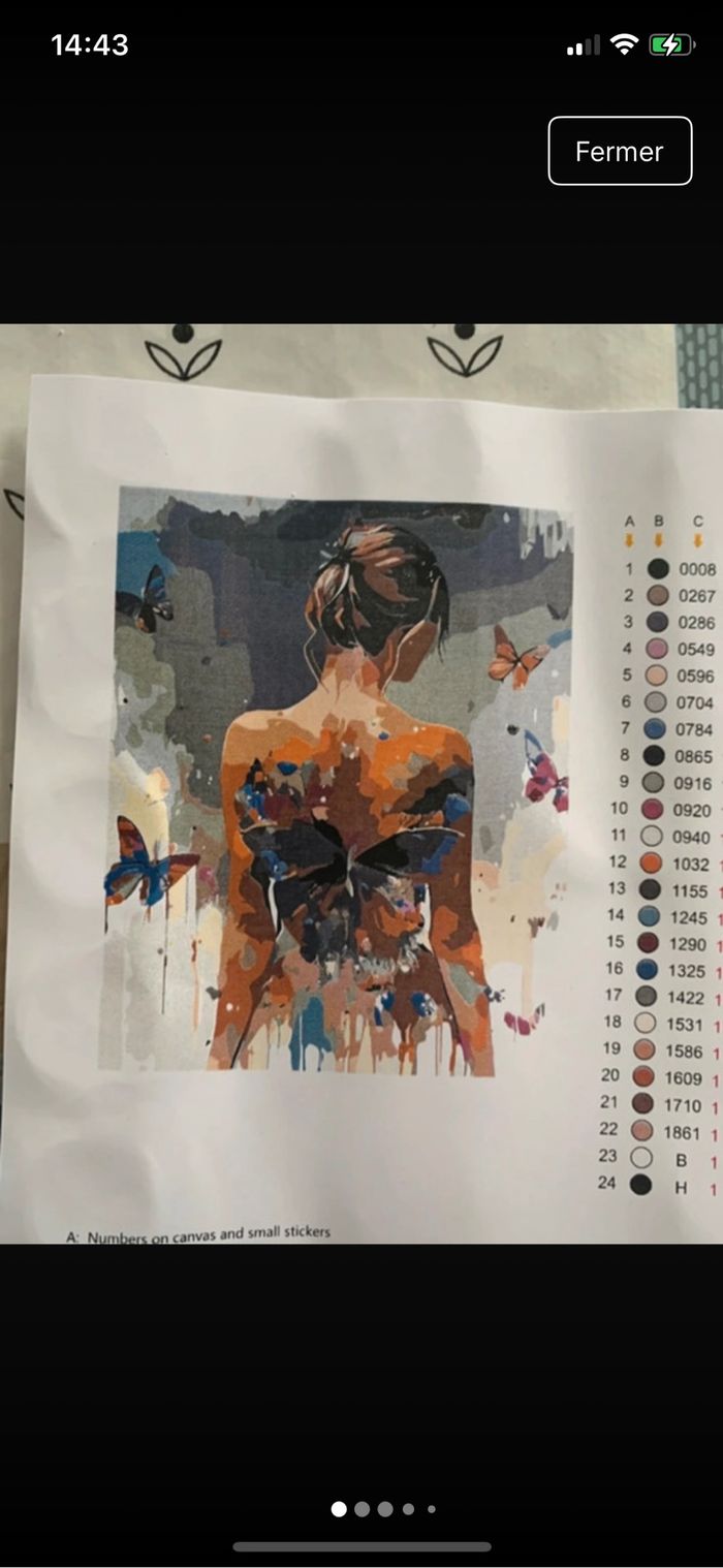 Kit complet de peinture par numéro - Neuf
