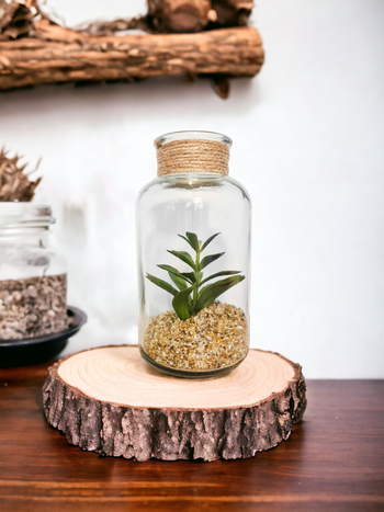 Terrarium décoratif verre et fausse plante succulente - 20 cm.