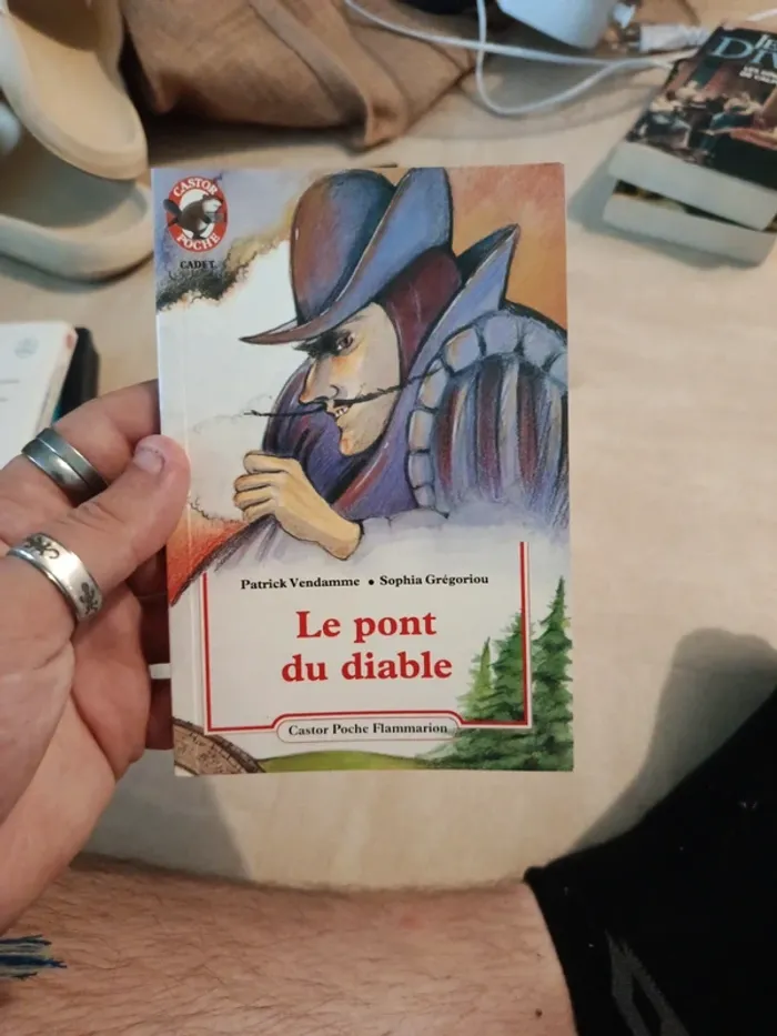 Livre le pont du diable