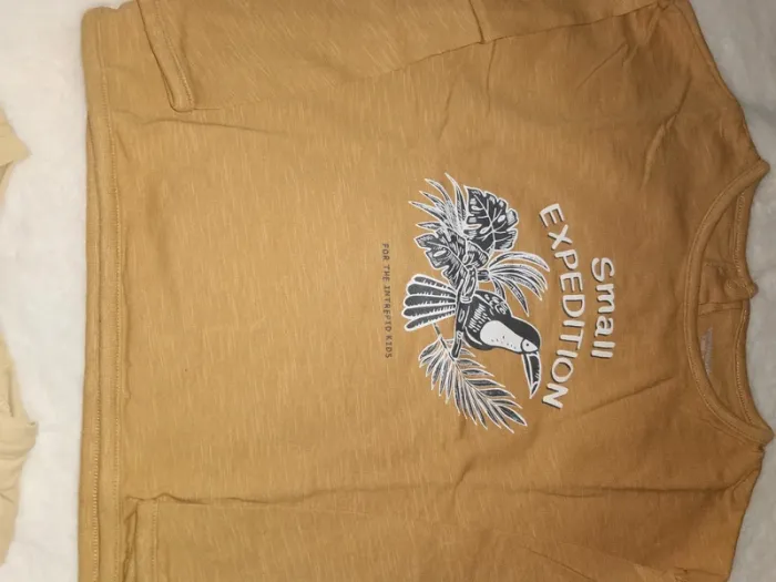 Lot de 2 tee-shirts manches longues Taille 36 mois - photo numéro 3