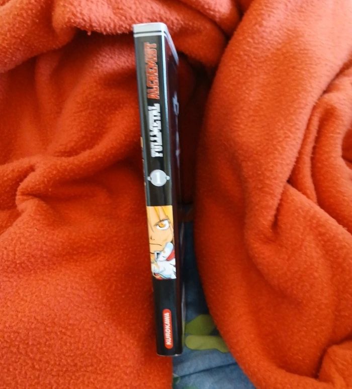 Mangas - photo numéro 6