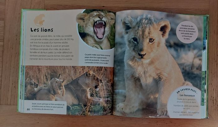 Mon grand livre des Bébés Animaux - Picolia - photo numéro 7