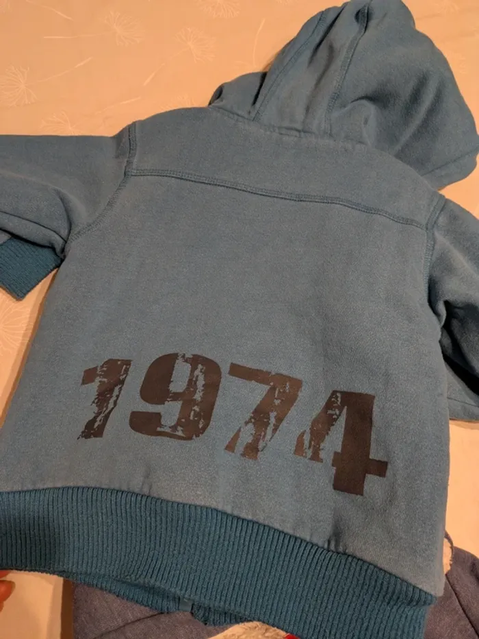 Lot de 2 sweats / vestes garçon 3 ans - photo numéro 10