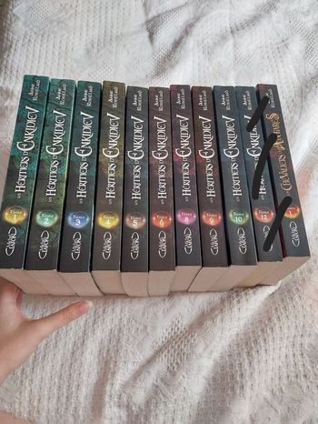 Romans Les Héritiers d'Enkidiev tomes 1 à 6 + 8 à 10 Anne Robillard 9 tomes