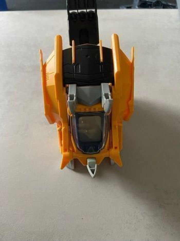 Molops super tricératops