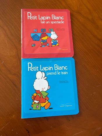 Livres petit lapin blanc