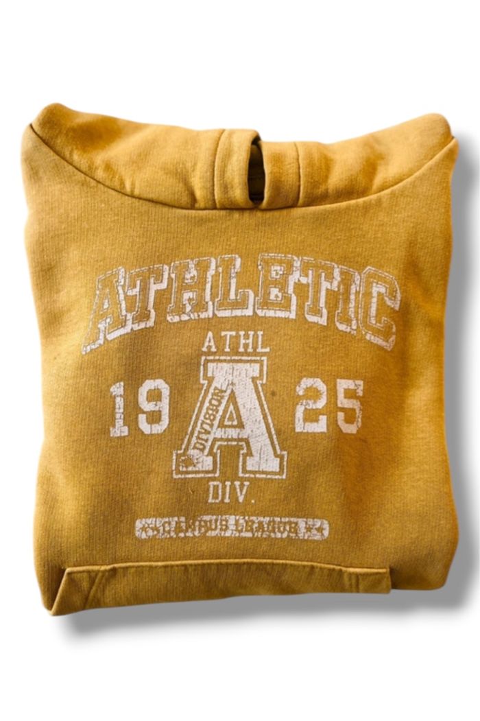 Sweat capuche garçon / moutarde / 4ans / 104cm / Kiabi eco conception - photo numéro 2