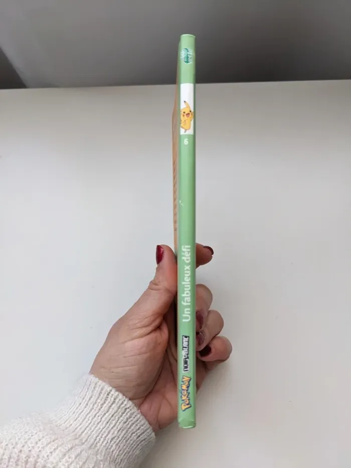 Livre Pokémon - photo numéro 3