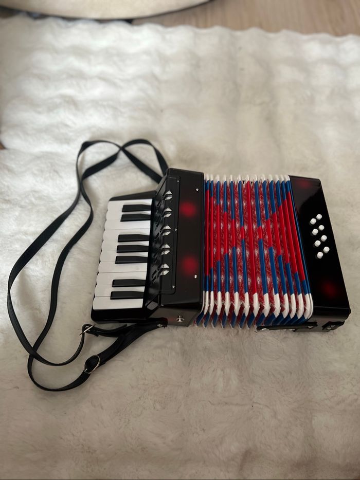 Accordéon pour enfant - photo numéro 3