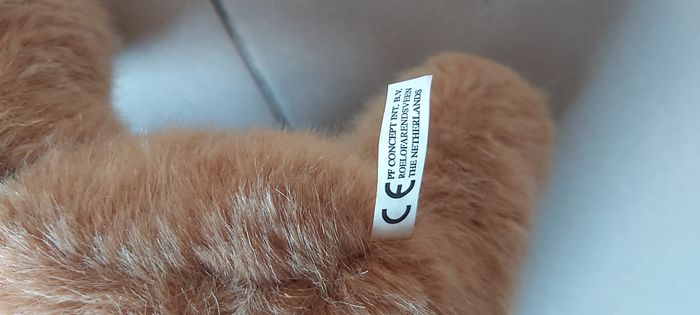 Ourson - photo numéro 8