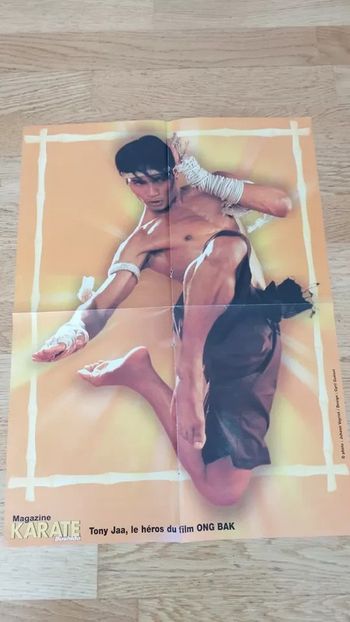 Poster Tony Jaa Ong Bak Shaolin arts martiaux Affiche Karaté Bushido