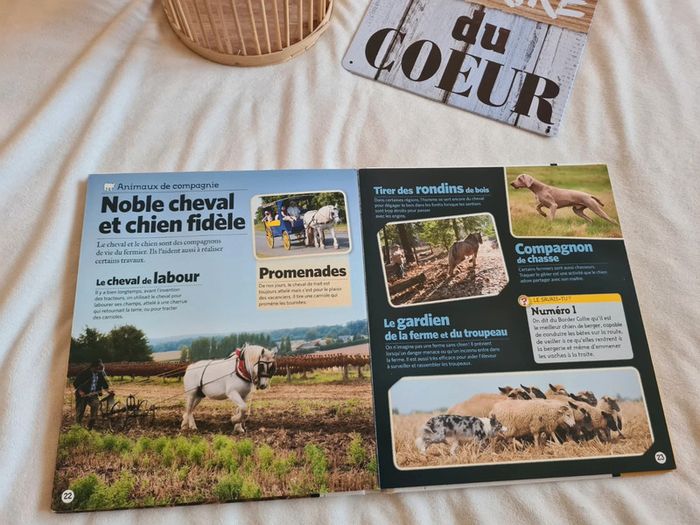 Livre doc à pattes - photo numéro 3