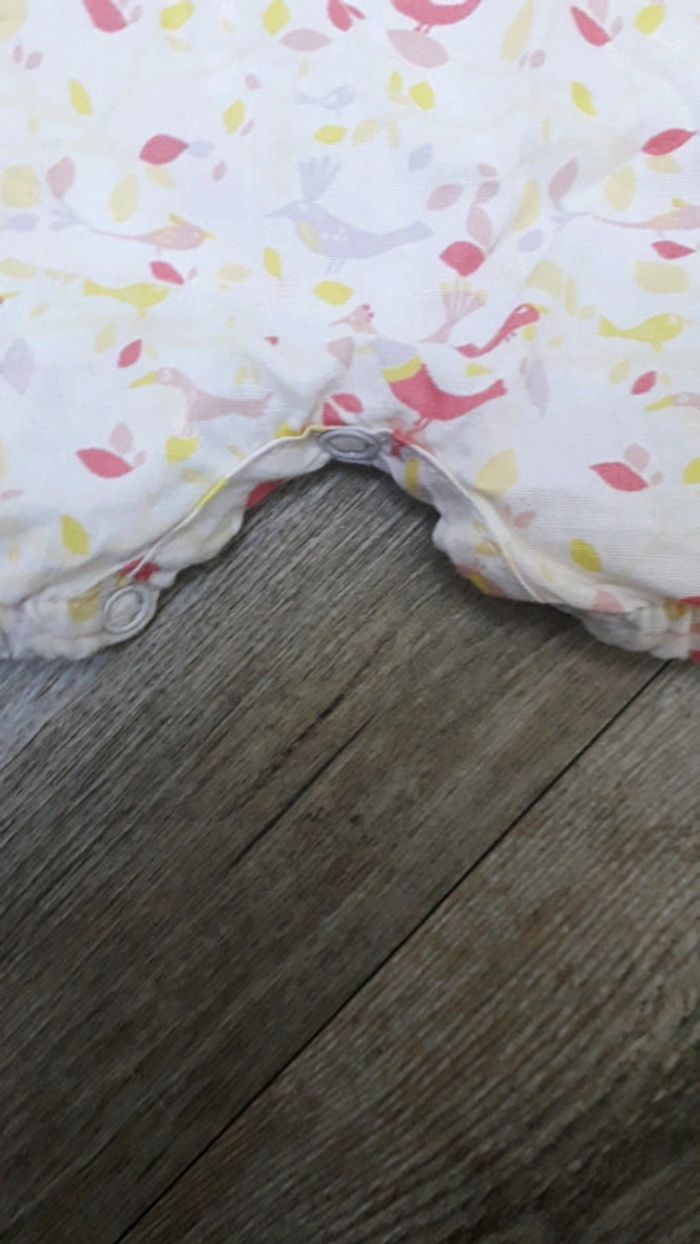 Combishort 6 mois - photo numéro 3