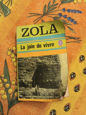 Livre la joie de vivre