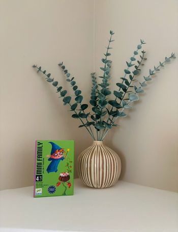 Jeu de cartes Family Djeco