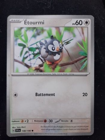 Etourmi
