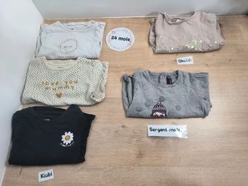 Lot 5 t-shirts manches longues 24 mois