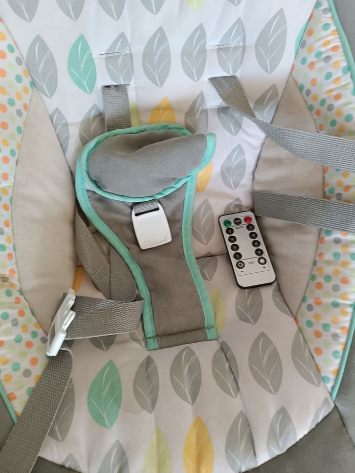 Balançoire électrique - photo numéro 3