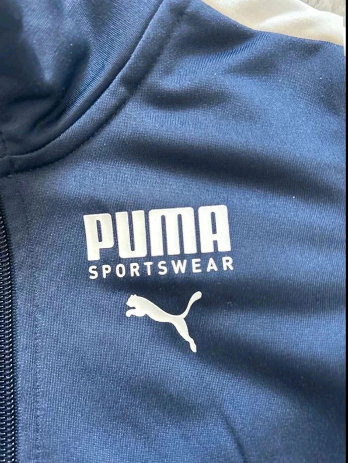 Veste zippée puma - photo numéro 2