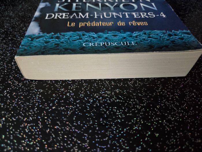 Livre de poche dream hunters tome 4 - photo numéro 3