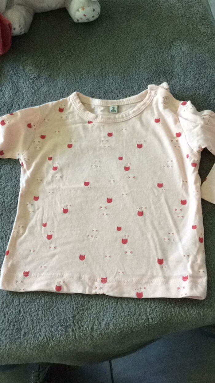Lot tee Shirt petit chat - photo numéro 3