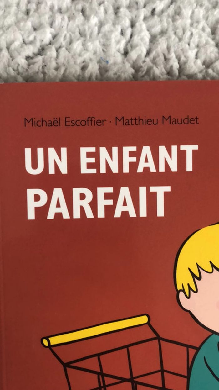 Livre un enfant parfait - photo numéro 3