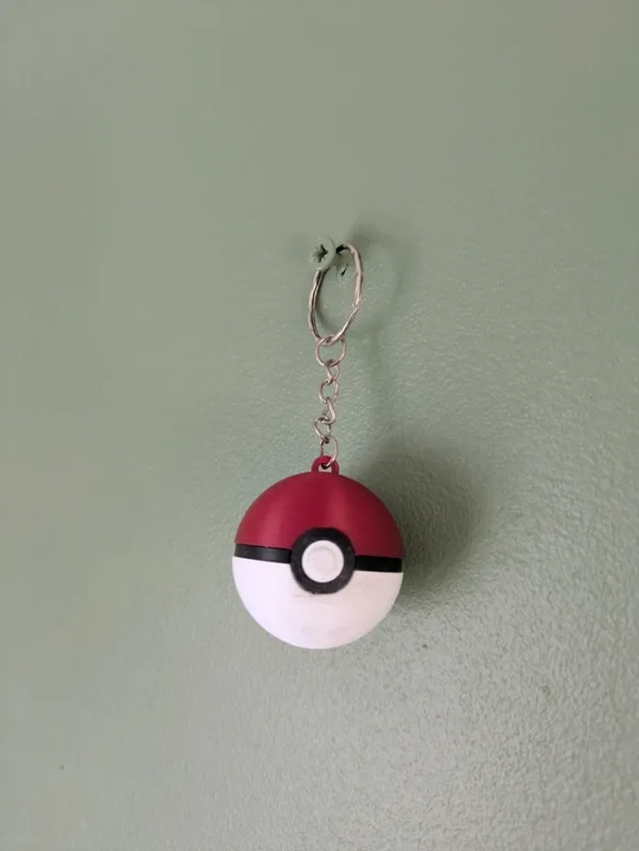 Lot de 2 porte-clés Pokéball