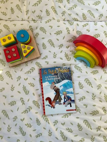 livre le Petit Prince La planète d'Ashkabaar tome 14