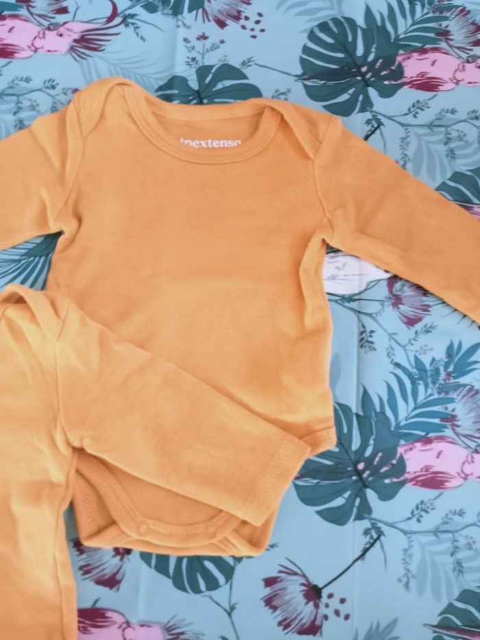 Lots 2bobys 1 mois inextenso - photo numéro 3