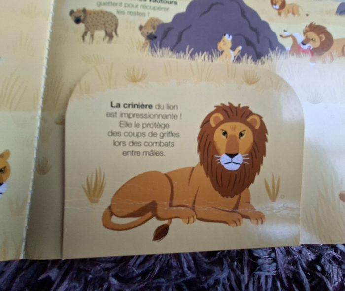 Livre sur les animaux de la savane - photo numéro 2