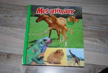 livre enfant Mes animaux - Éditions Cerf Volant