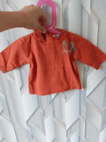 tee shirt orange