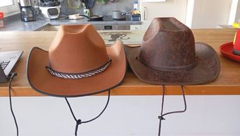 Chapeau de cow-boy