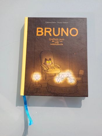 Livre couverture rigide l'école des loisirs : Bruno, Quelques jours de ma vie très intéressante, 63