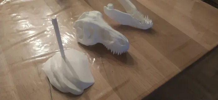 Crâne de T-Rex tyrannosaure Jurassic park - photo numéro 19