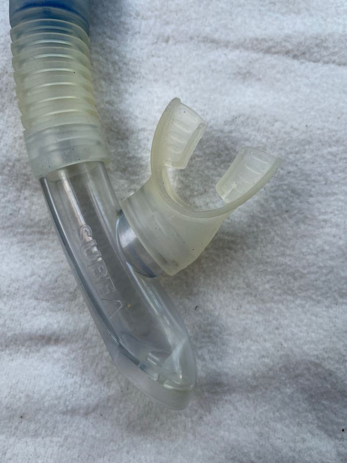 Tubas 48 cm - photo numéro 4