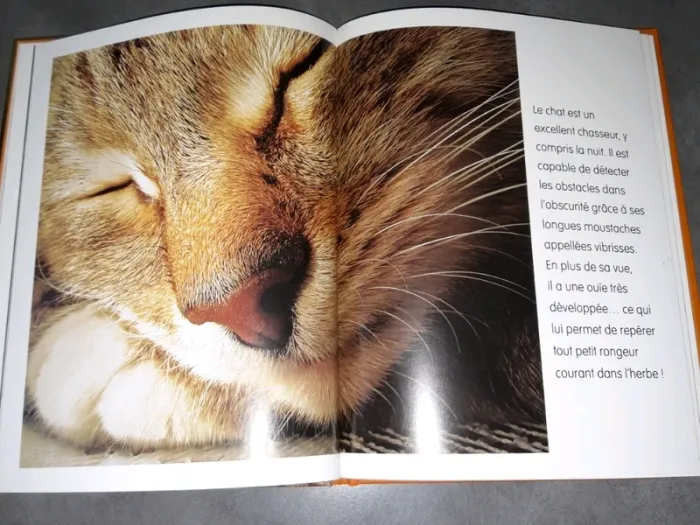 Le monde merveilleux des animaux"les chats" - photo numéro 2