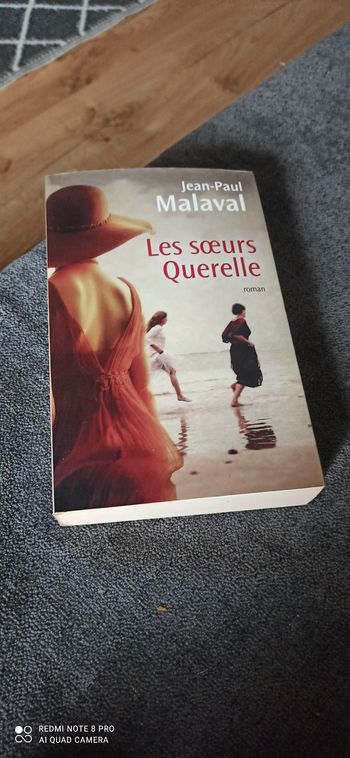 Livre Les soeurs querelles