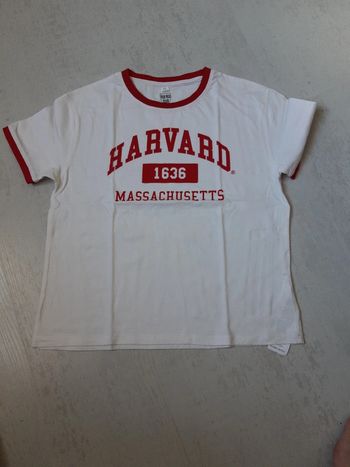 Tee shirt Harvard Xs