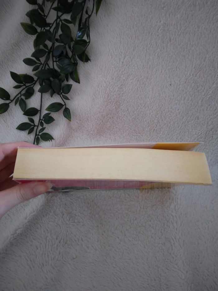 🌸Livre romance Lola petite, en cloque et complètement larguée🌸 - photo numéro 3