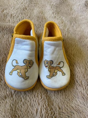 Chausson pointure 19