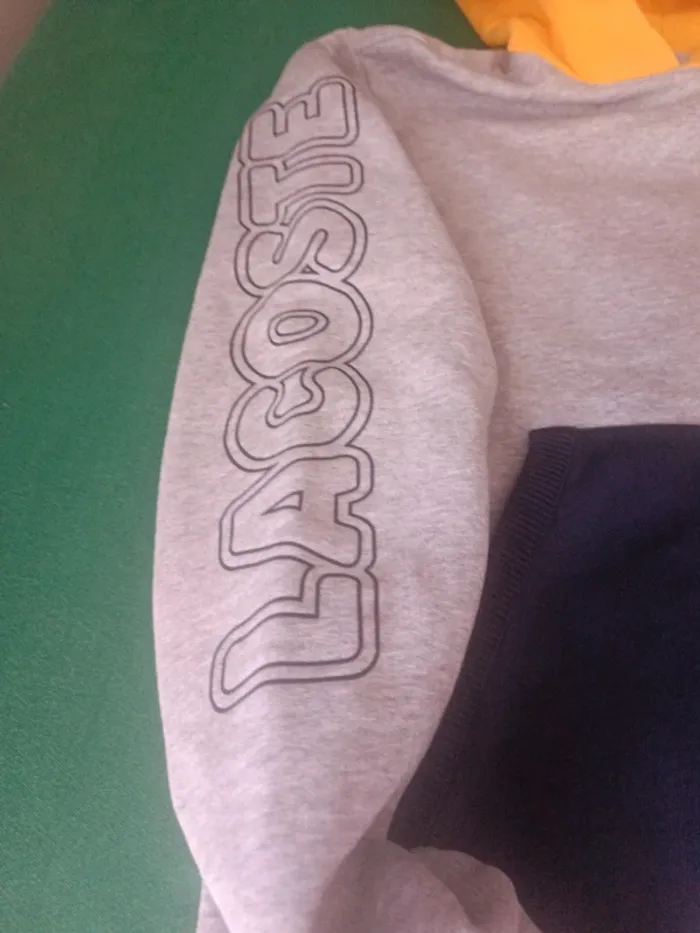 Sweat-shirt capuche Lacoste - photo numéro 2
