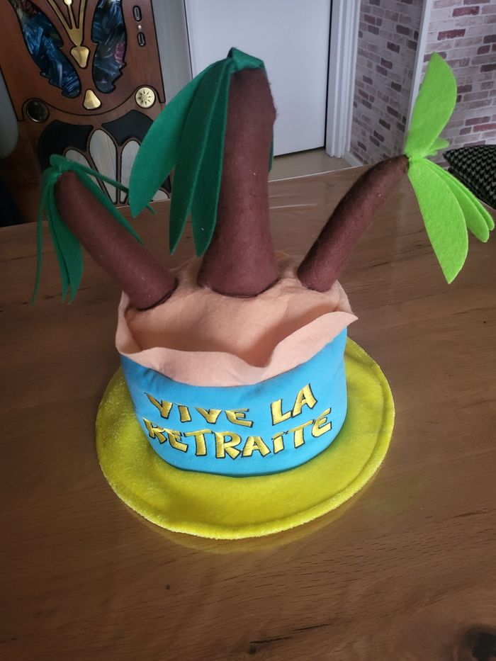 Déguisement - photo numéro 3