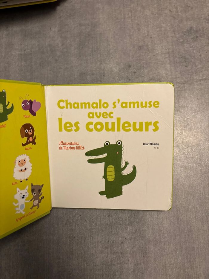 Livre chamalo s’amuse avec les couleurs - photo numéro 2