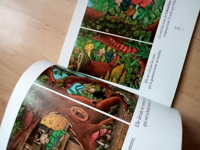 Livre enfant Pétronille - photo numéro 10