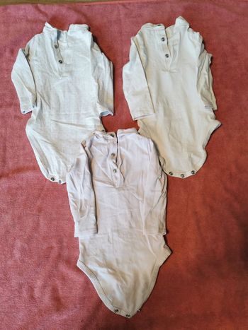 Lot 3 bodies