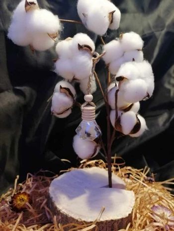 Désodorisant de voiture