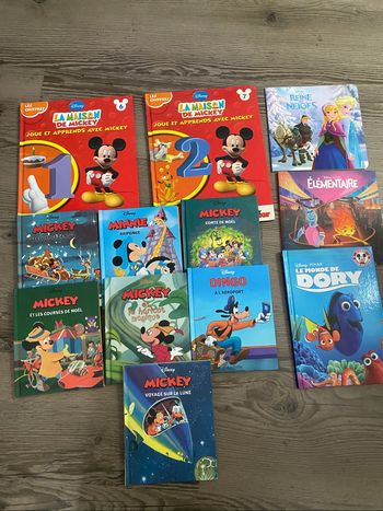 Lot de livre Disney