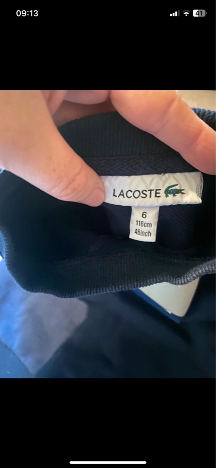 Pull Lacoste - photo numéro 3