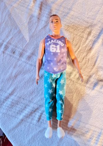 Poupée barbie ken fashionistas